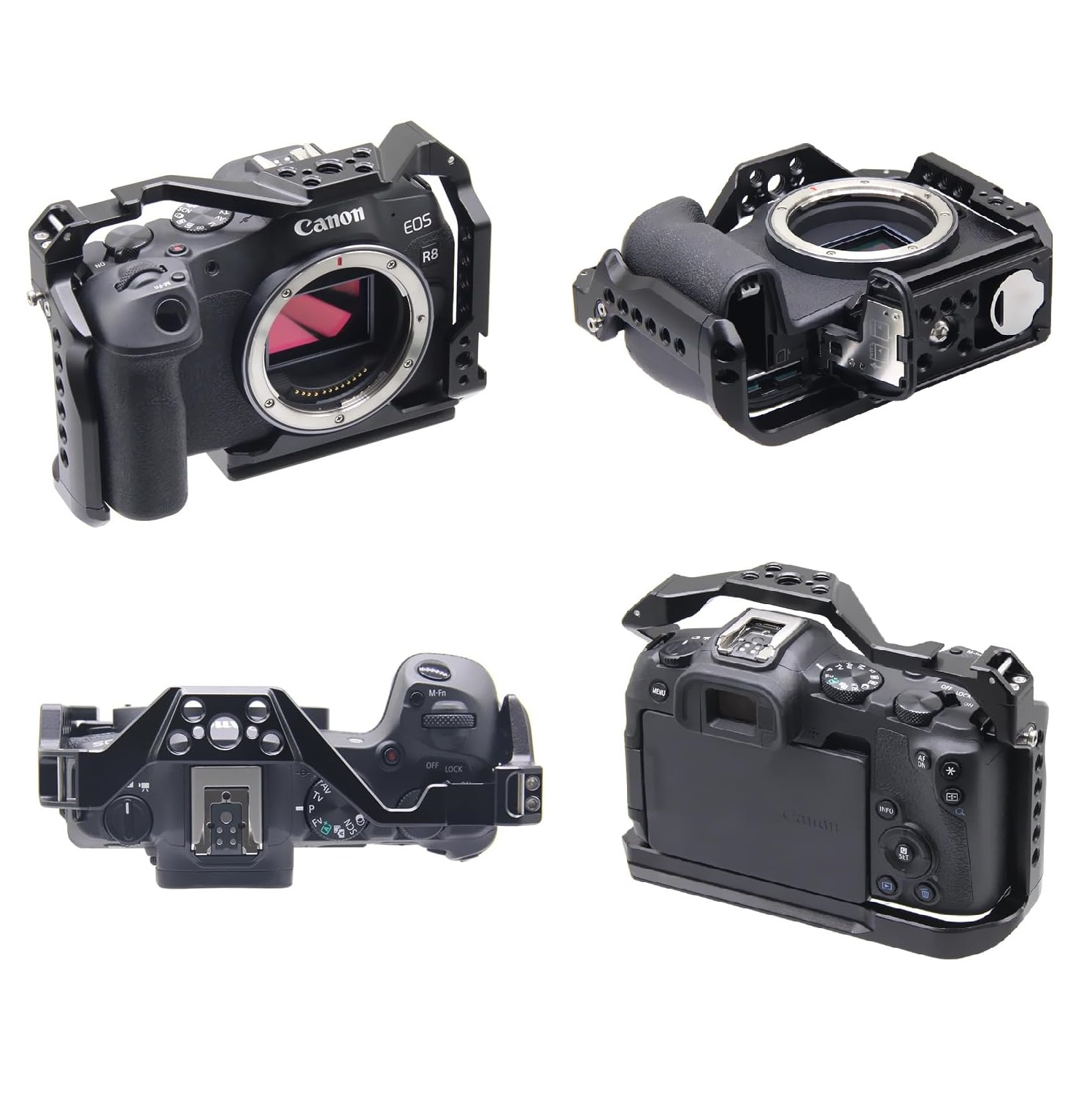 아카 베이스, 콜드 슈, 스트랩 슬롯, 1/4 3/8인 - Canon Camera Eos R8 리뷰 및 가격
